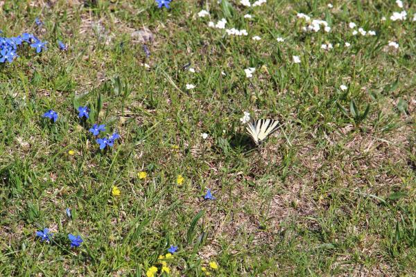 Northern Velebit National Park