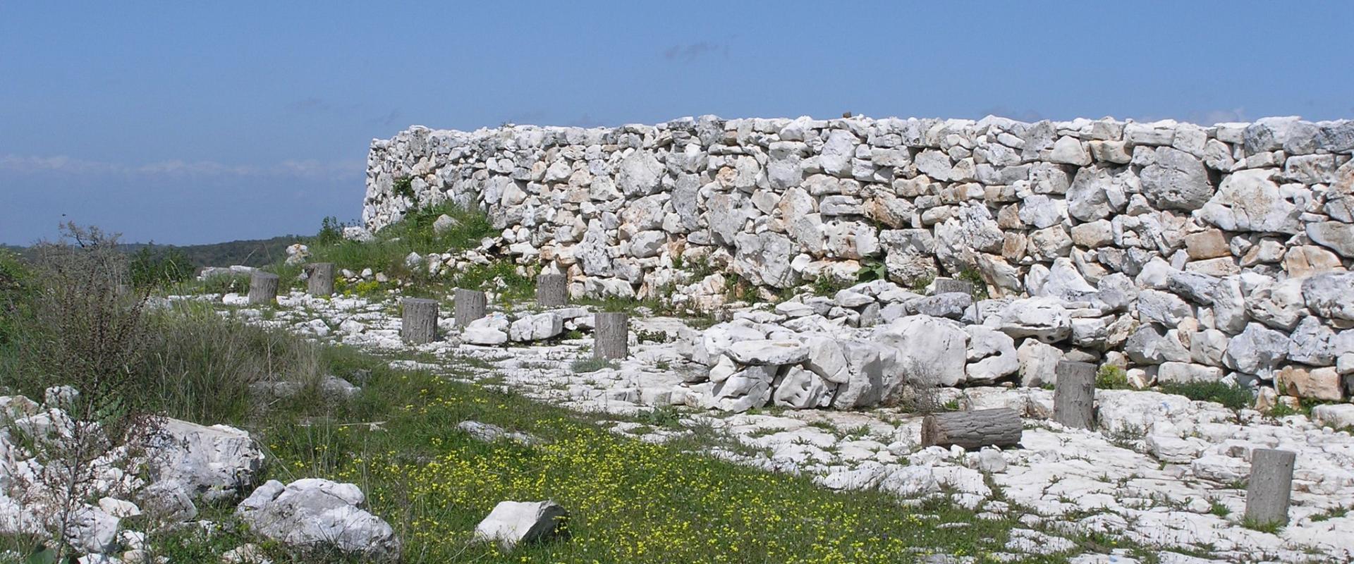 Monkodonja