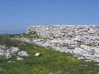 Monkodonja (06)