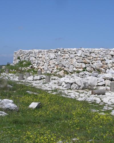 Monkodonja (06)