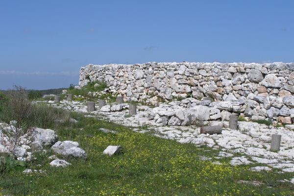 Monkodonja
