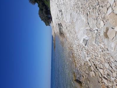 Dinosaur footprints Brijuni