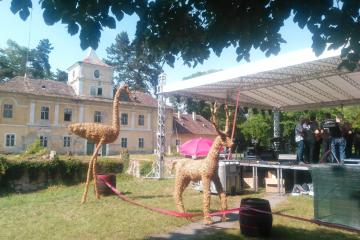 Bilje