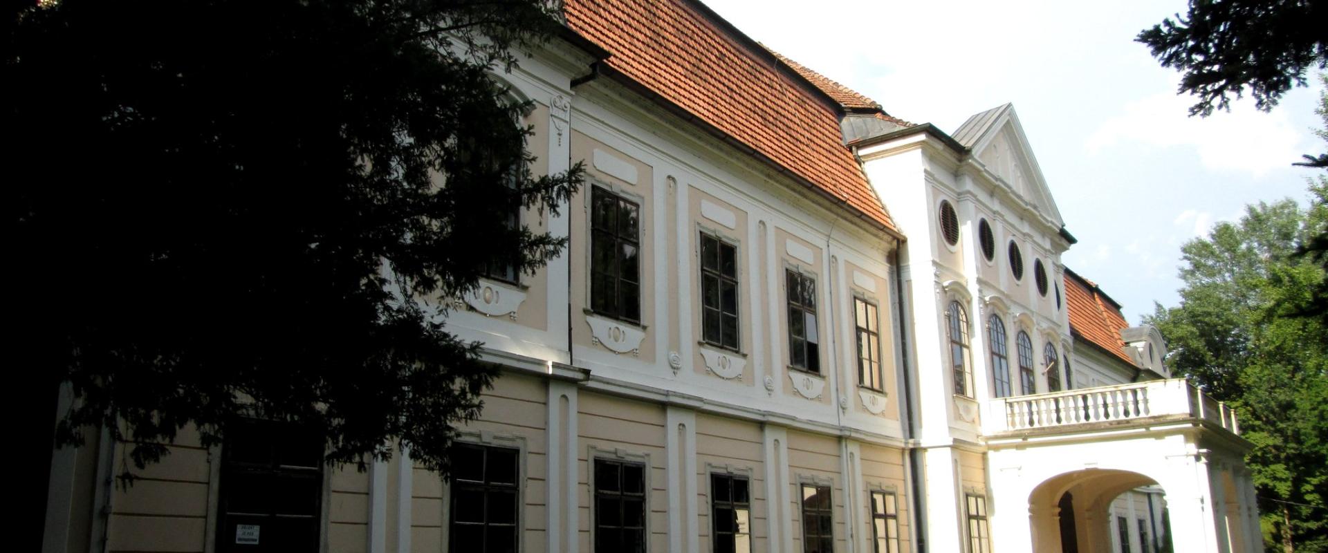 Dvorac Jankovic