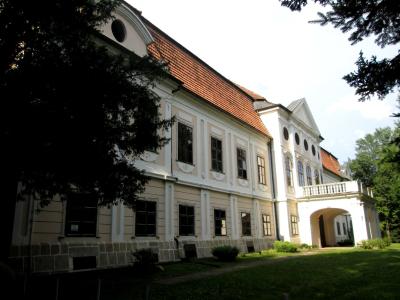 Dvorac Jankovic u Daruvaru