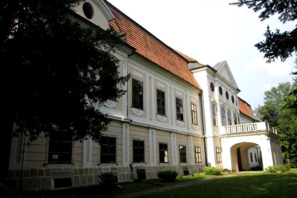 Dvorac Jankovic
