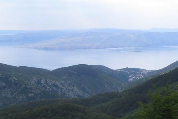 Vratnik