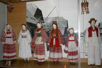 Nosnje Hrvatska Posavina i Moslavina EMZ 300109