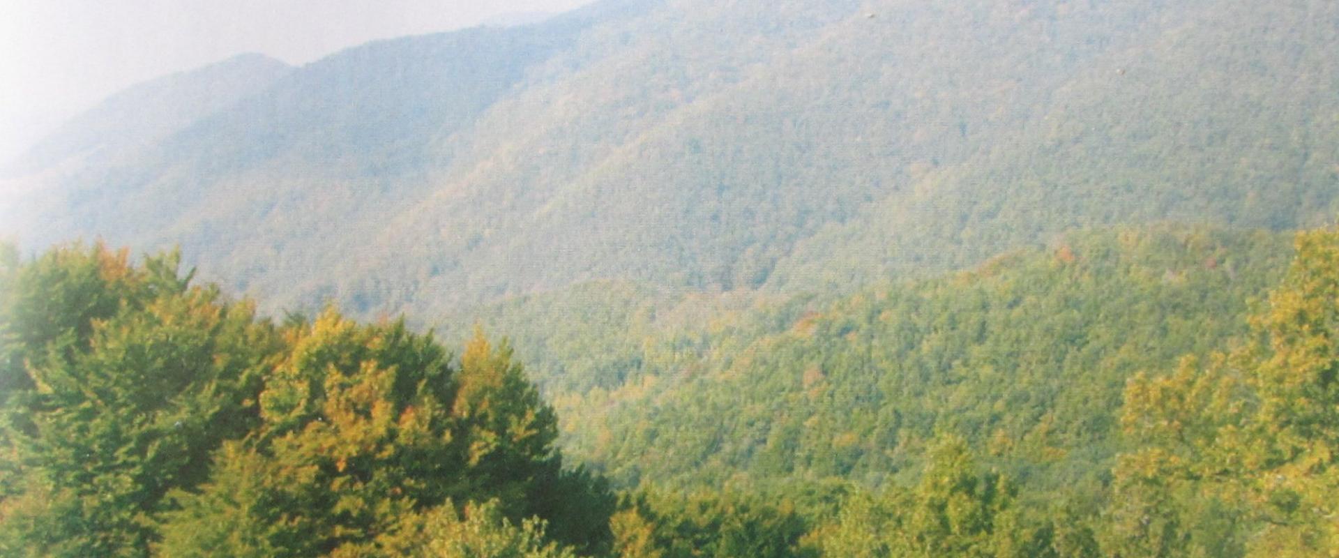 Orhidejska Staza (Strahinjčica)