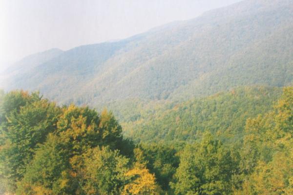 Orhidejska Staza (Strahinjčica)
