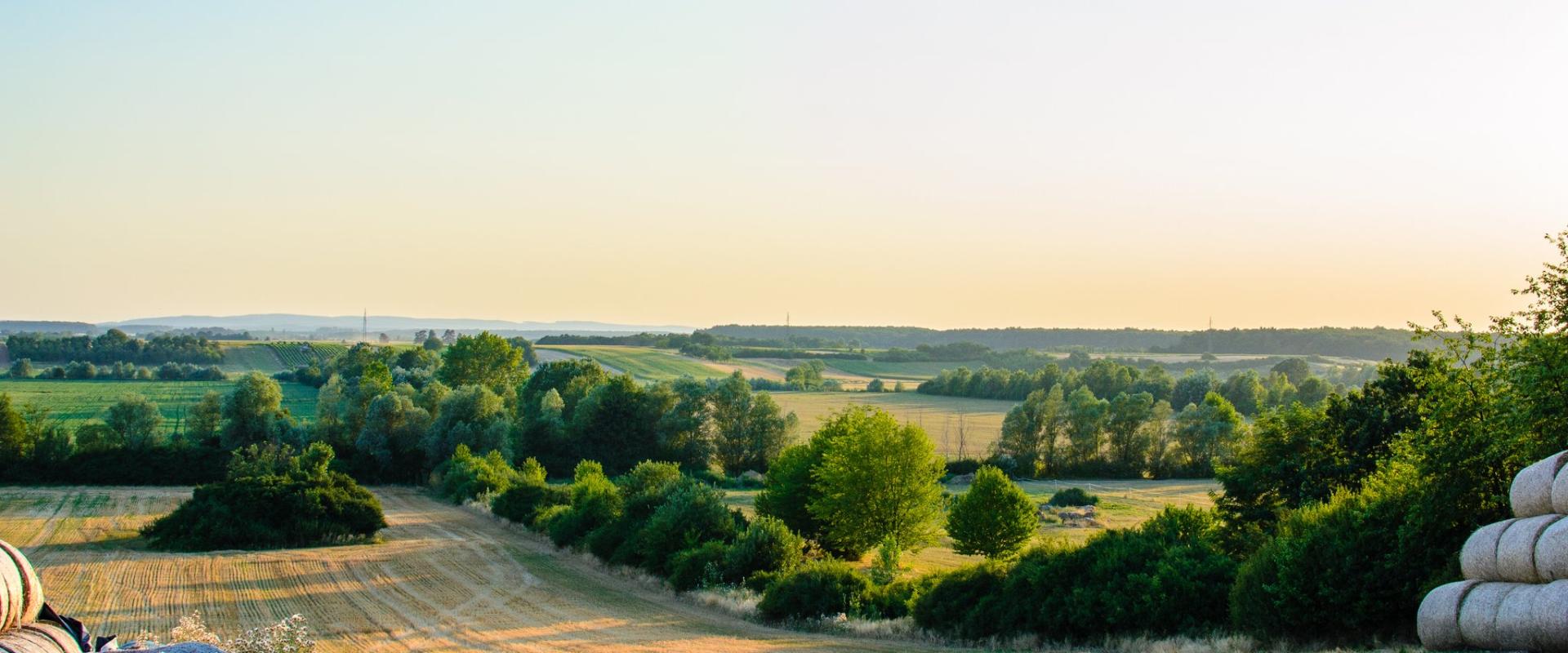 Slavonia (20124878928)