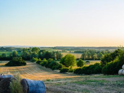 Slavonia (20124878928)