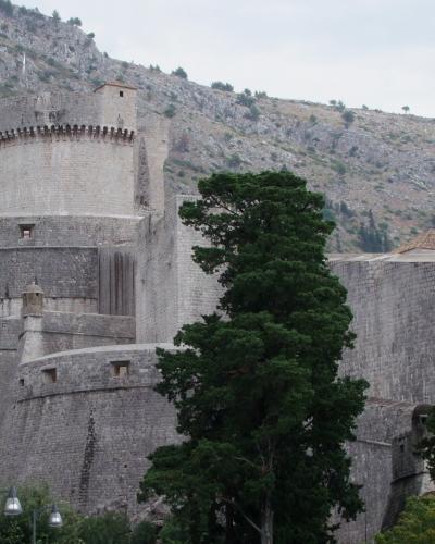 Dubrovnik - baszta Minceta - Minceta tower - panoramio