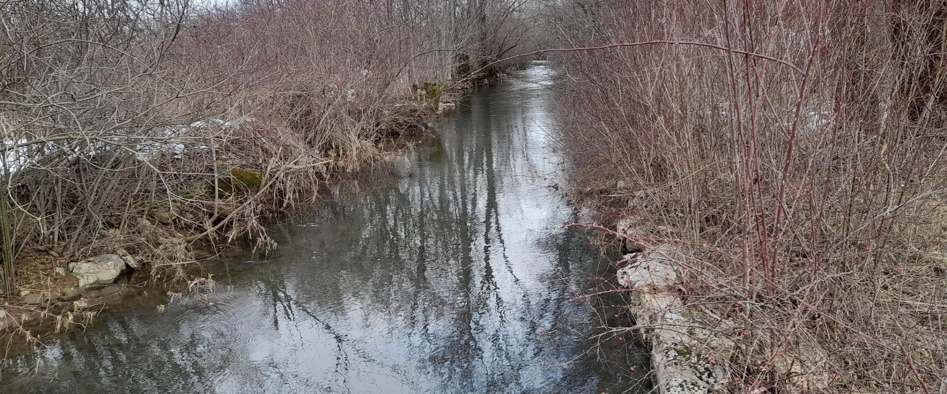 Travić mill