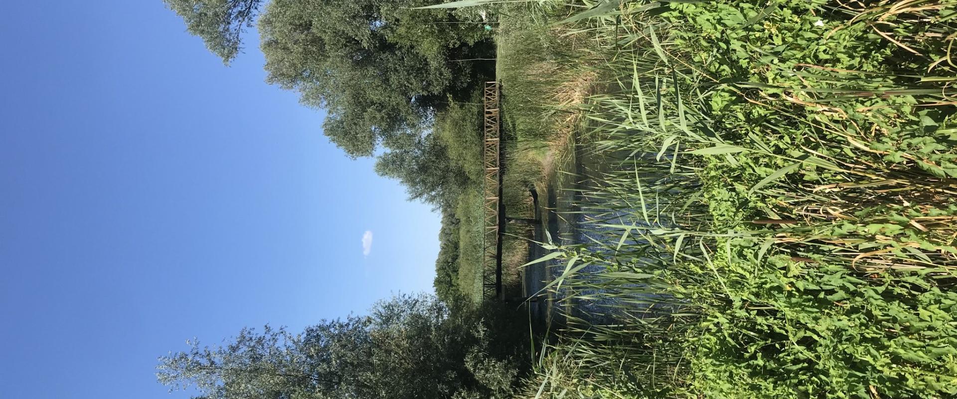 Kopački Rit Nature Park