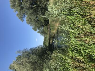Kopački Rit, walking trail, Kopačevo, 2025 (8)