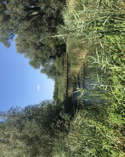 Kopački Rit, walking trail, Kopačevo, 2025 (8)