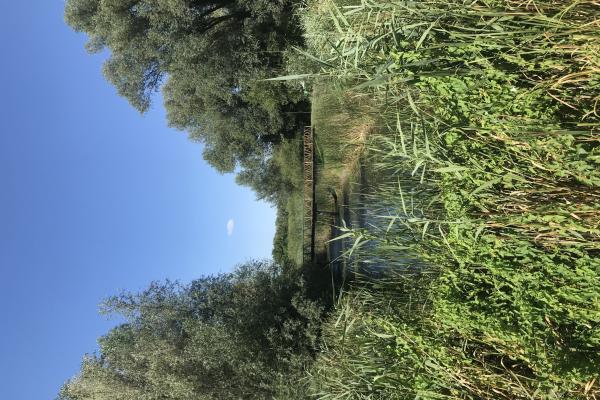 Kopački Rit Nature Park