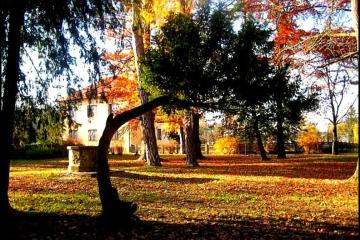 Ivanić-Grad