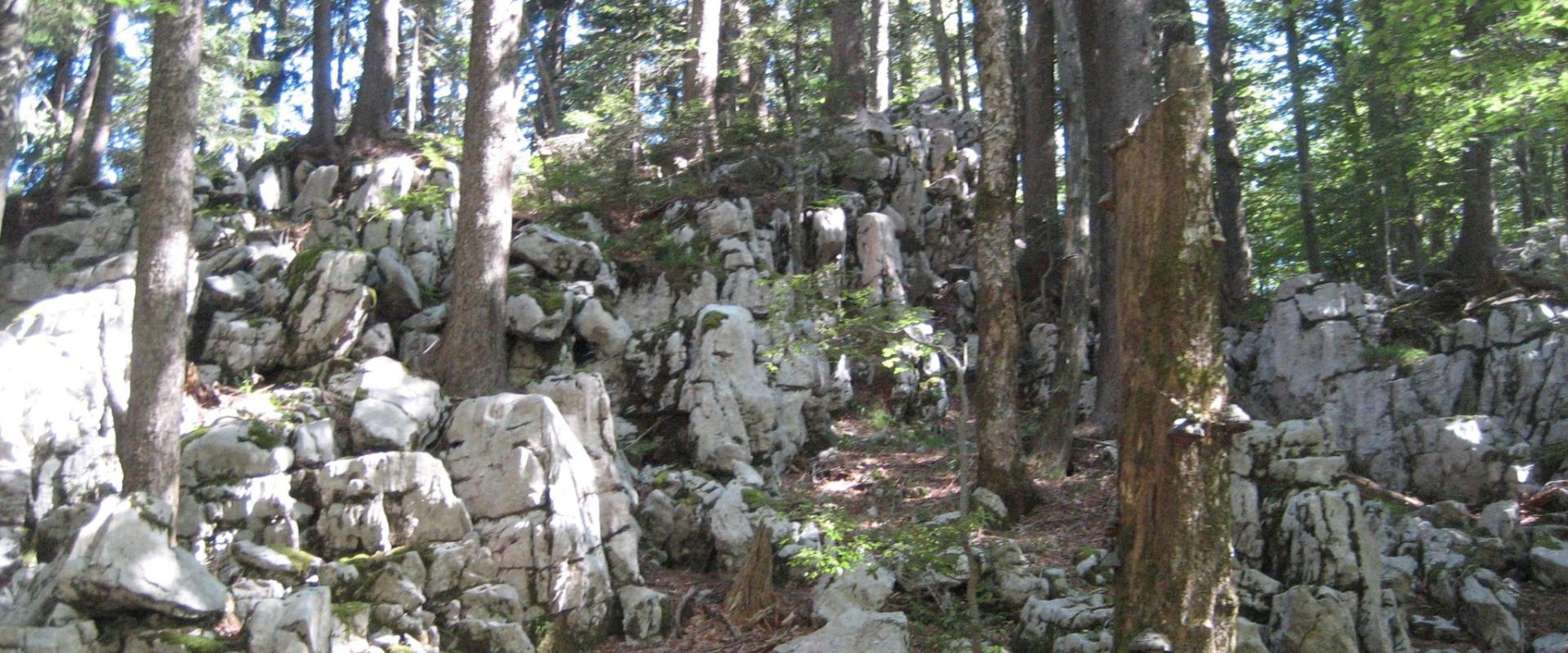 Golubinjak Forest Park