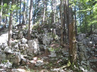 Golubinjak1-09