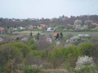 Vučetinec - proljetna panorama (travanj 2012)