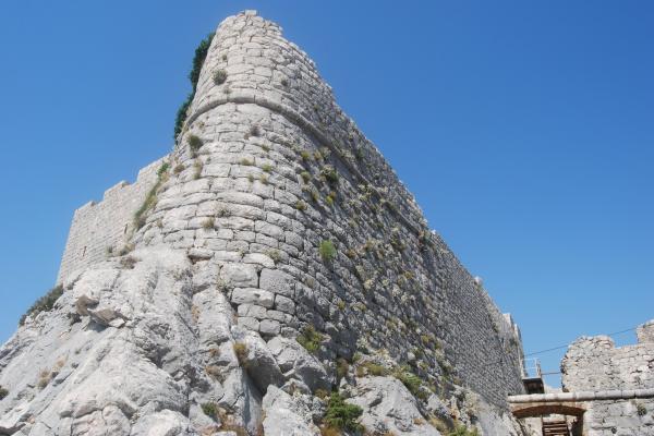 Fortica